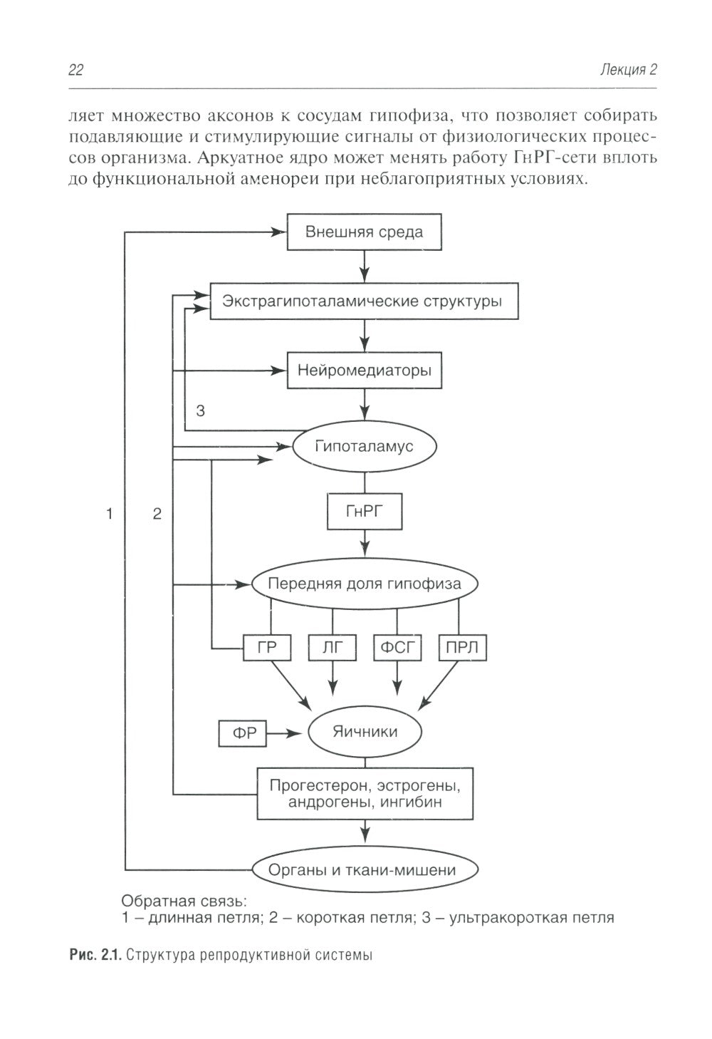 Гинекологическая эндокринология. Клинические лекции. 5-е изд