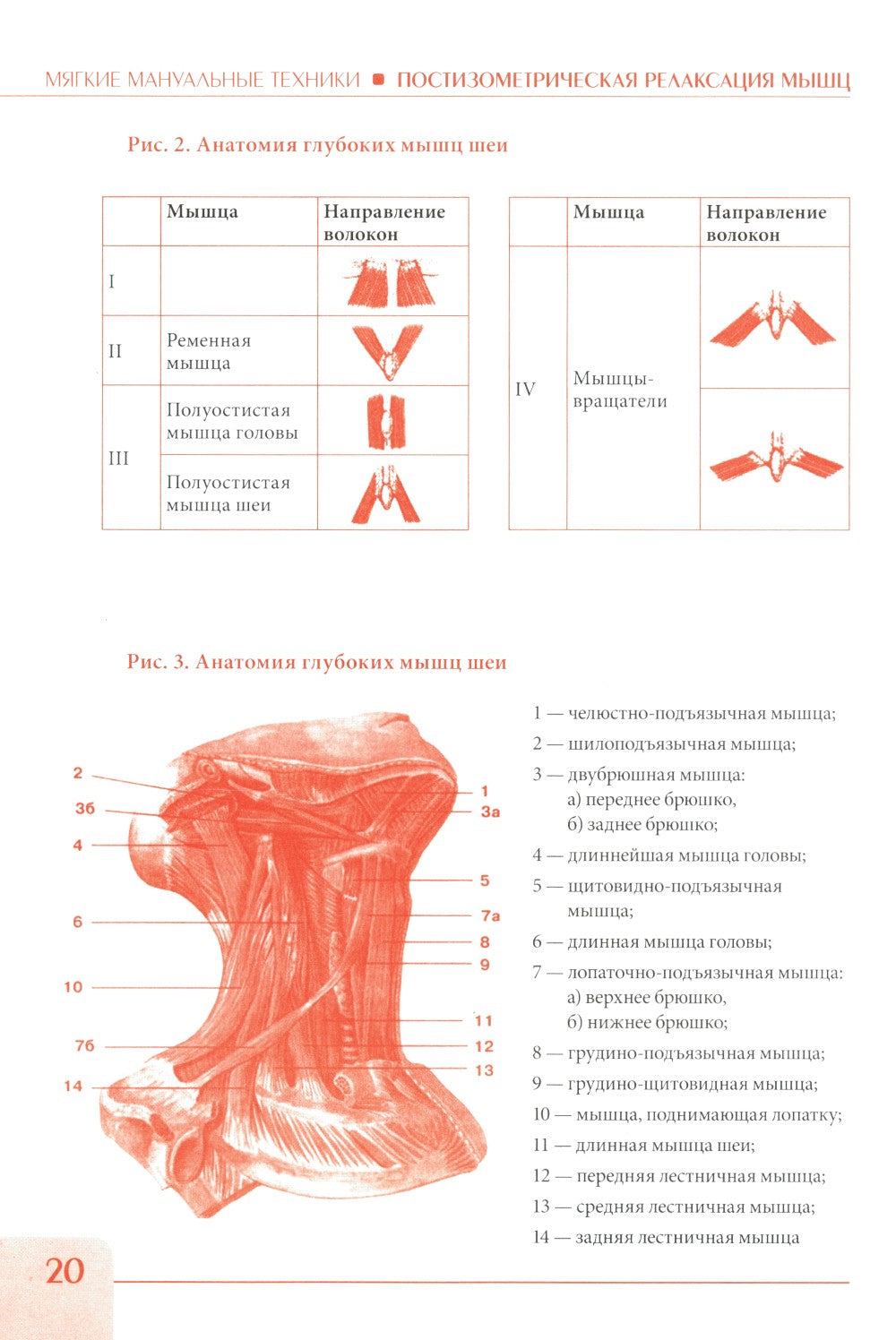 Постизометрическая релаксация мышц. Мягкие мануальные техники: Учебное пособи...