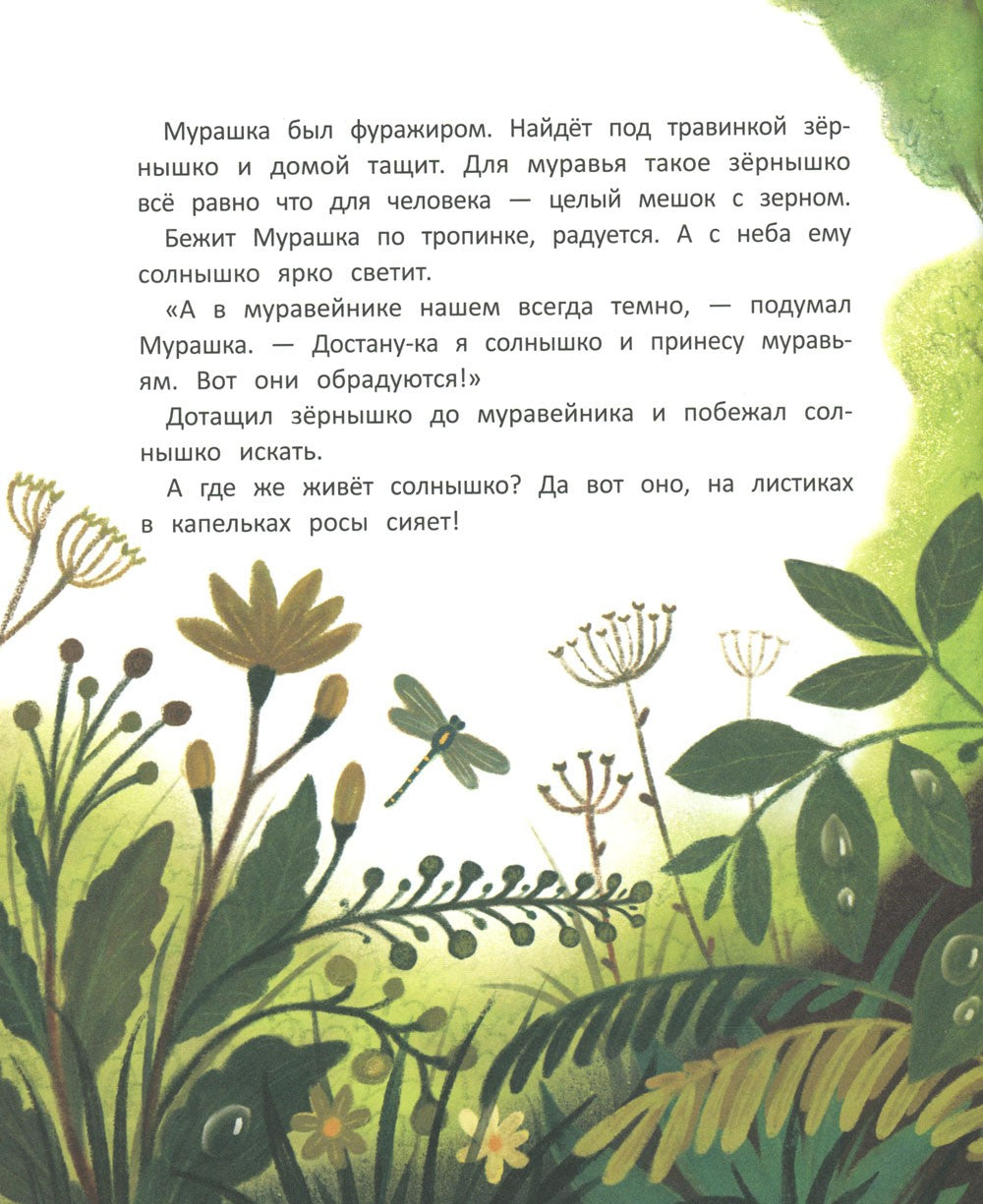 Как муравей за солнышком ходил