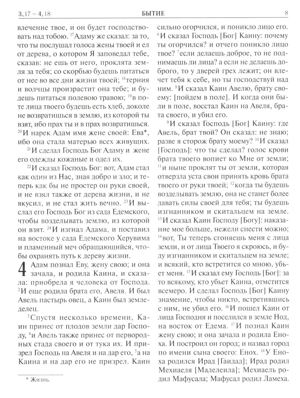 Библия. Книги Священного Писания Ветхого и Нового Завета. Крупный шрифт (золо...