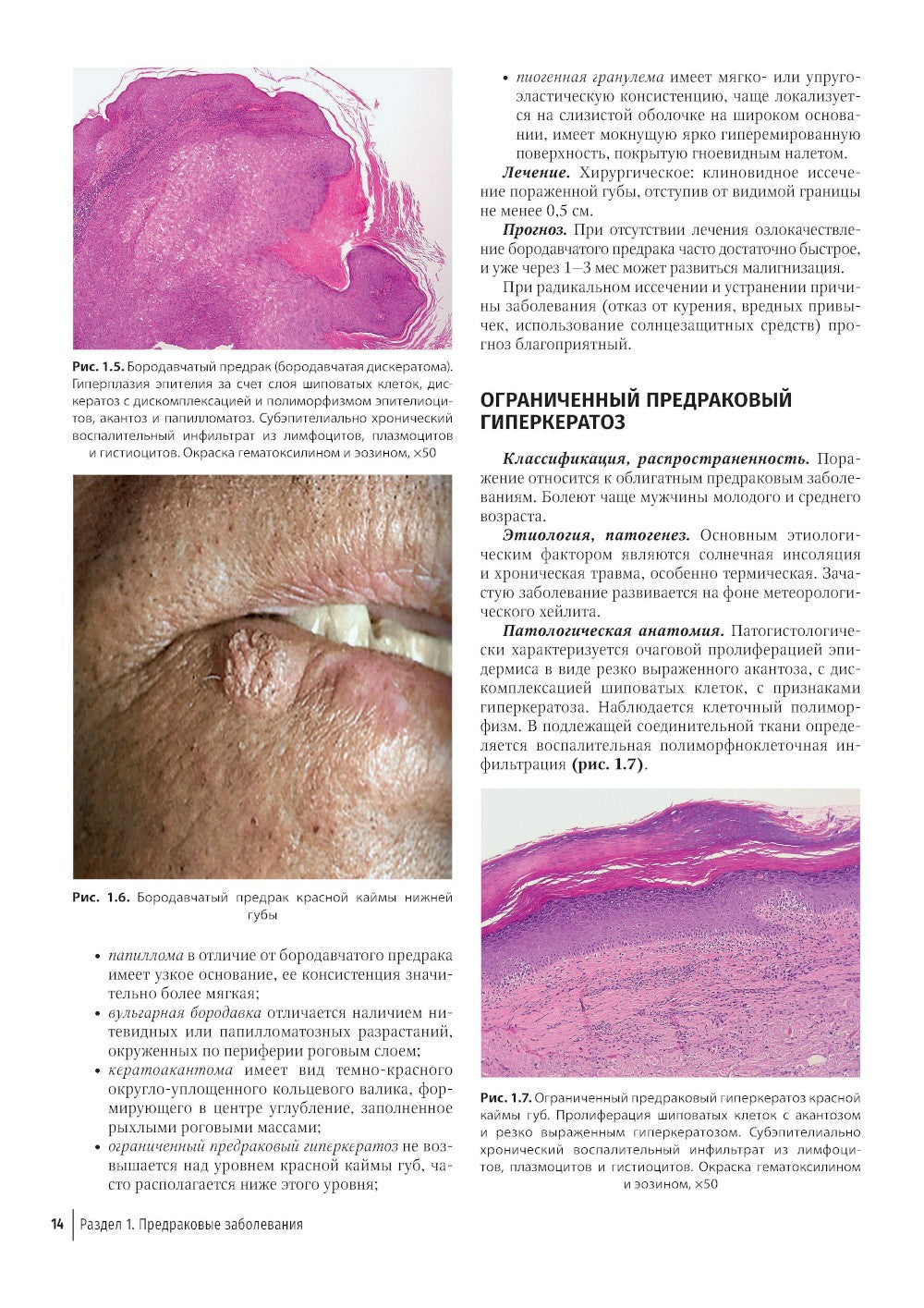 Атлас диагностики заболеваний челюстно-лицевой области