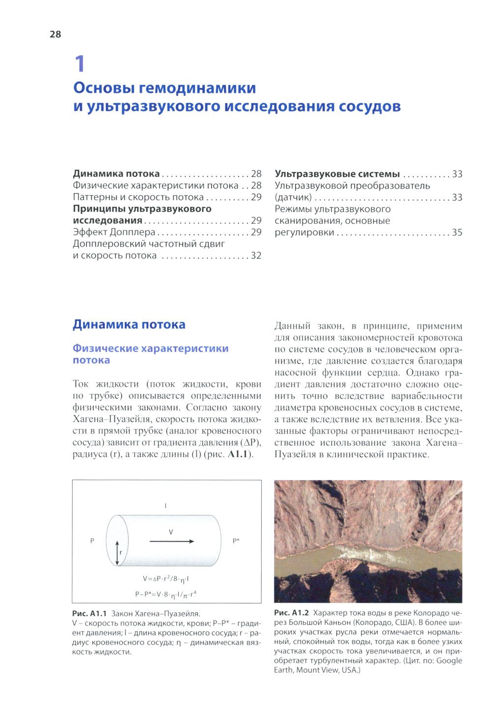 Нейросонология и нейровизуализация при инсульте. 3-е изд