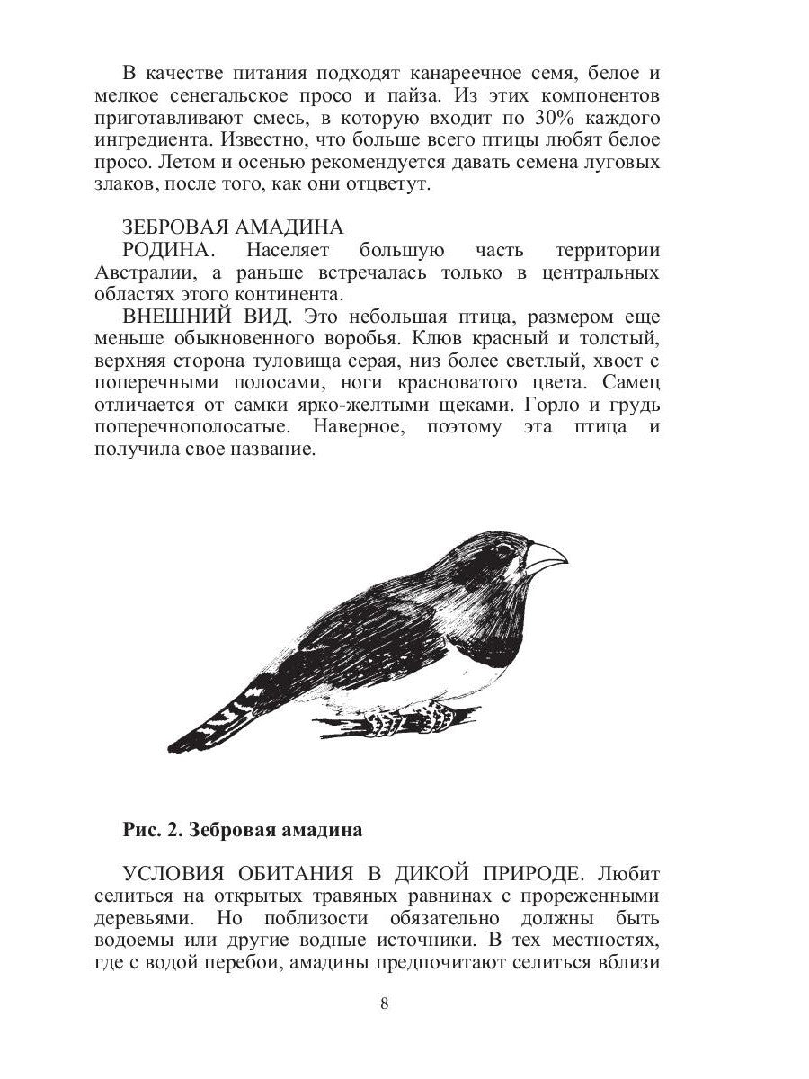 Певчие птицы
