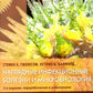 Наглядные инфекционные болезни и микробиология. 2-е изд., перераб.и доп