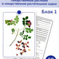 Фармакогнозия. Блок 1 (59 карточек). Лекарственные растения и лекарственное р...