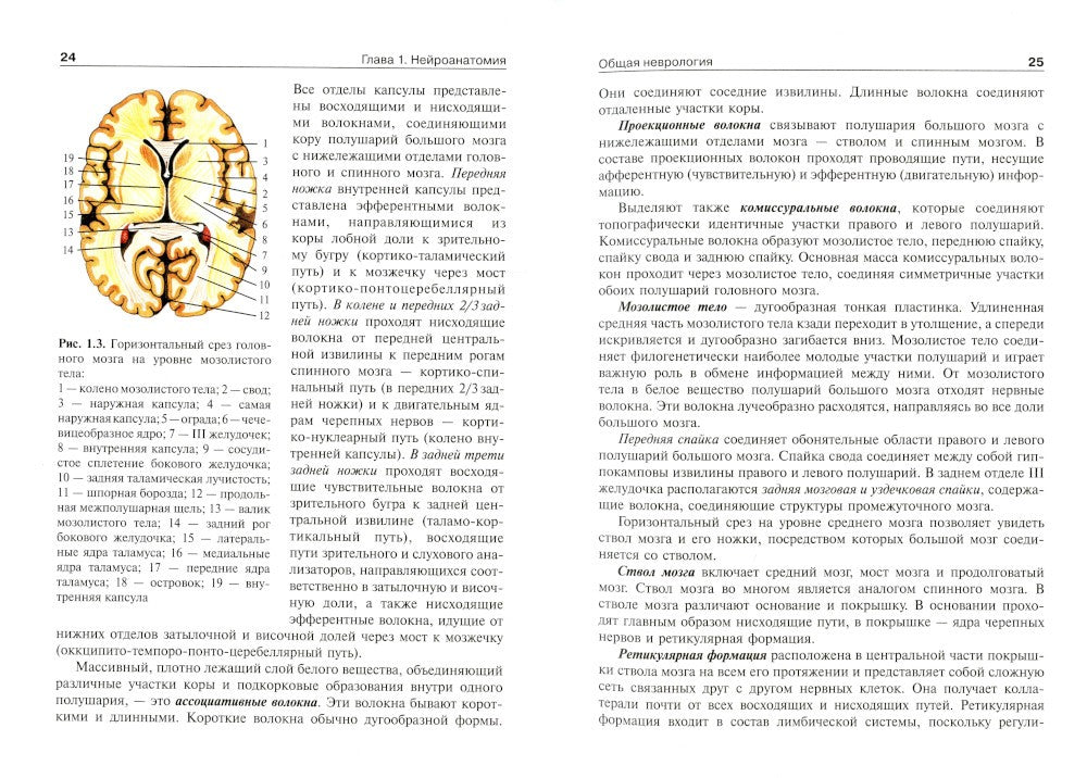 Детская неврология и нейрохирургия: Учебник. В 2 т. Т. 1