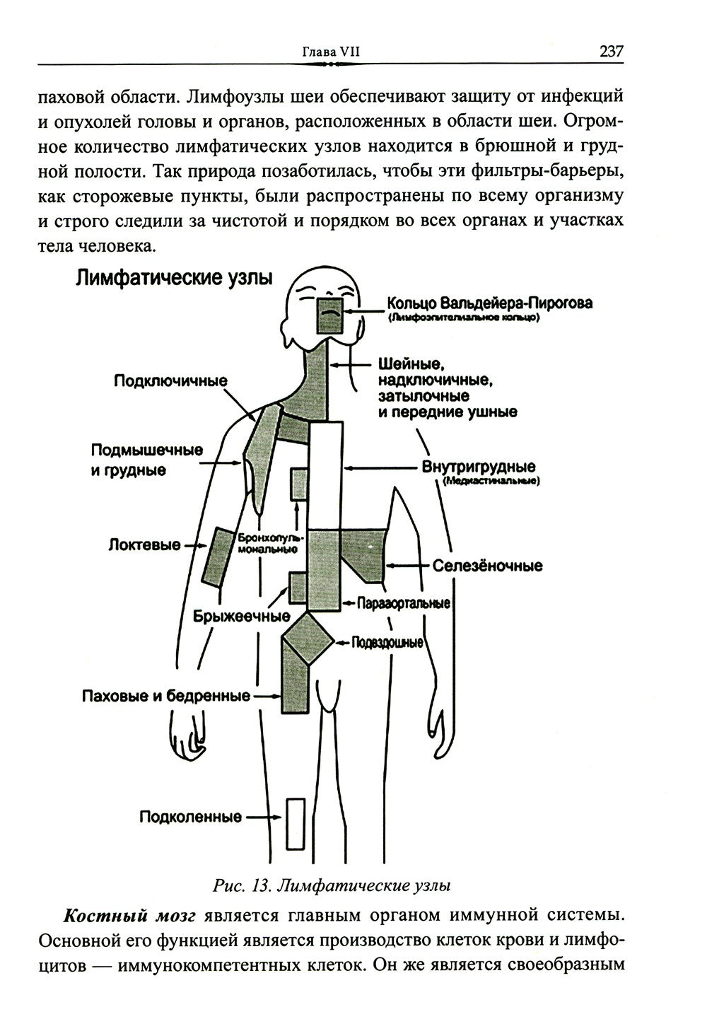 Эмоционально-образная терапия в работе с психосоматическими проблемами. Ч. 1
