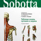 Sobotta. Таблицы мышц, суставов и нервов