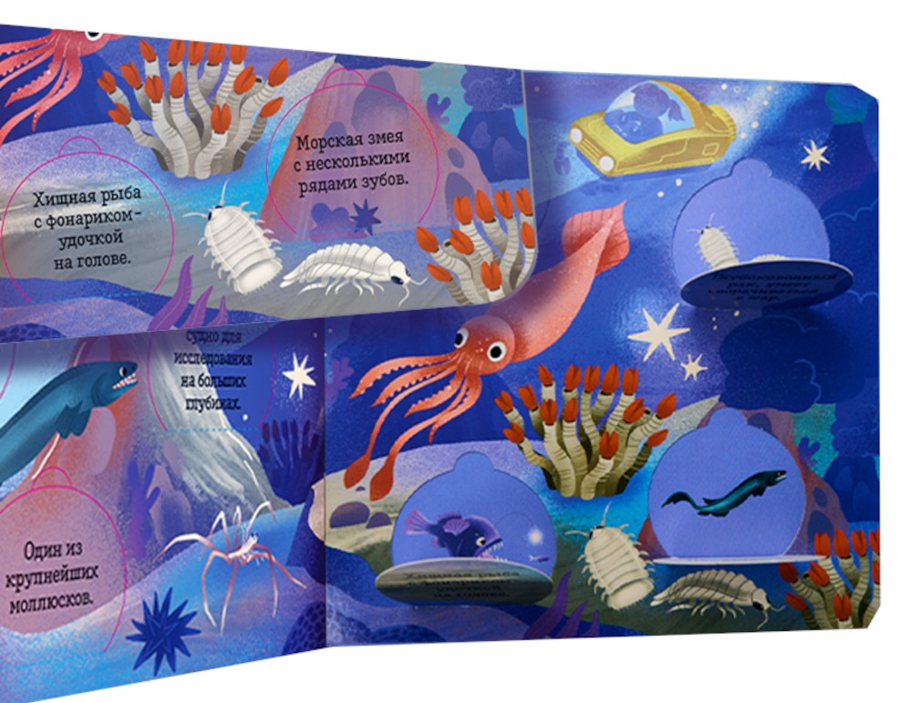 Океаны и моря. Энциклопедия с окошками