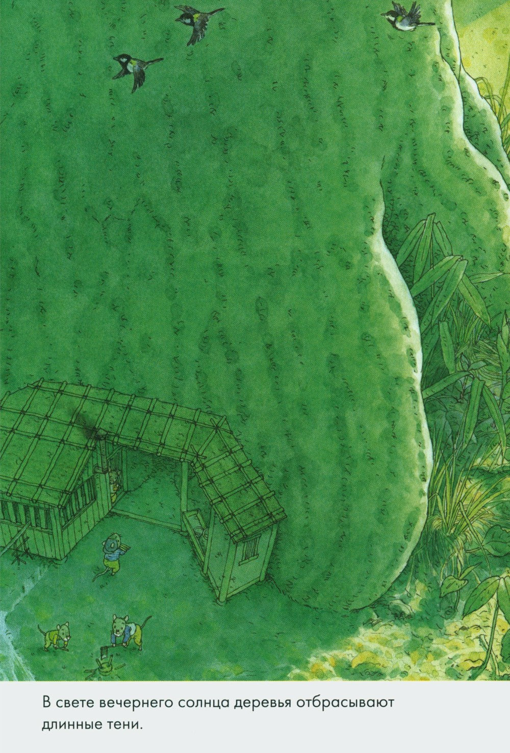 14 лесных мышей. Комплект суточный (комплект из 4-х книг)