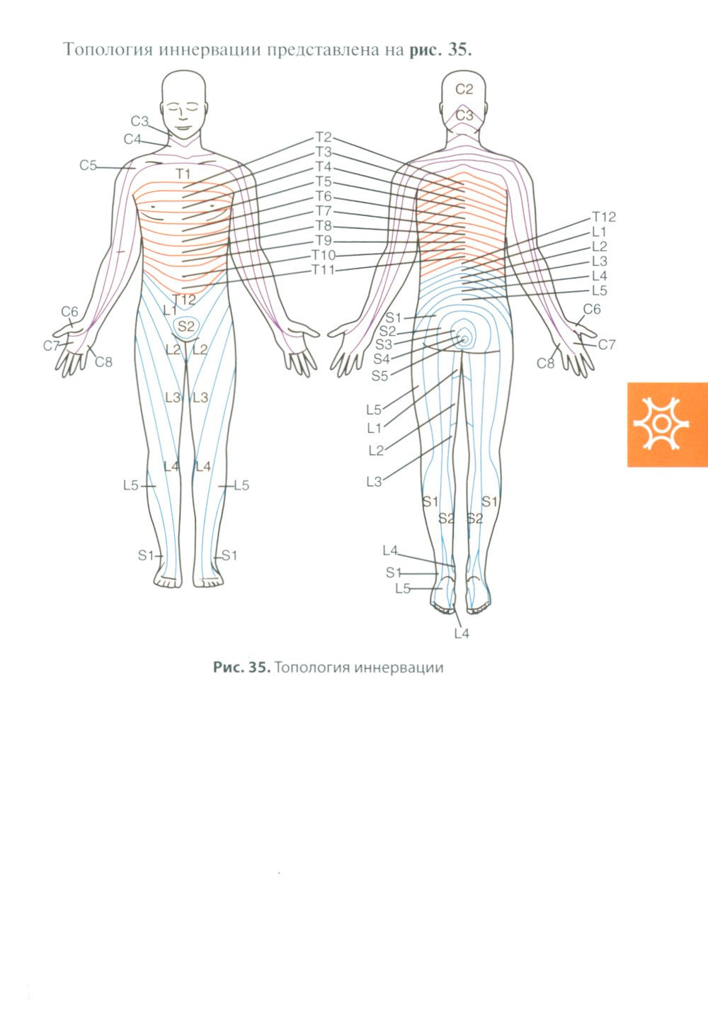Клиническое руководство по интенсивной терапии: карманный справочник