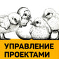 Управление проектами с нуля. 4-е изд