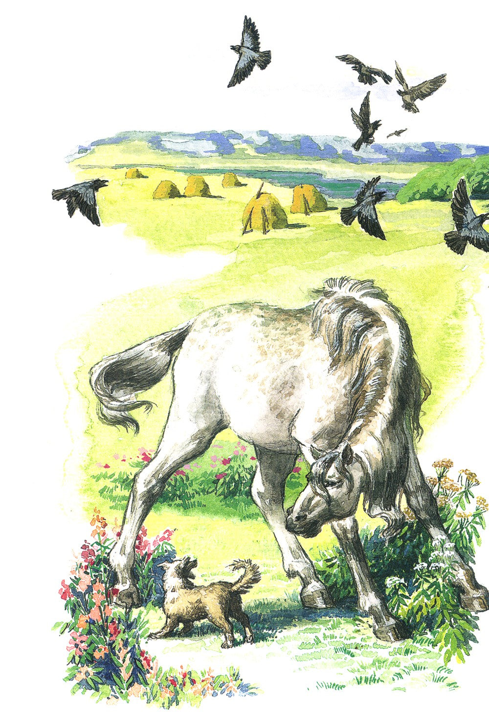 Про Мальку: из "Рассказов о всякой живности"