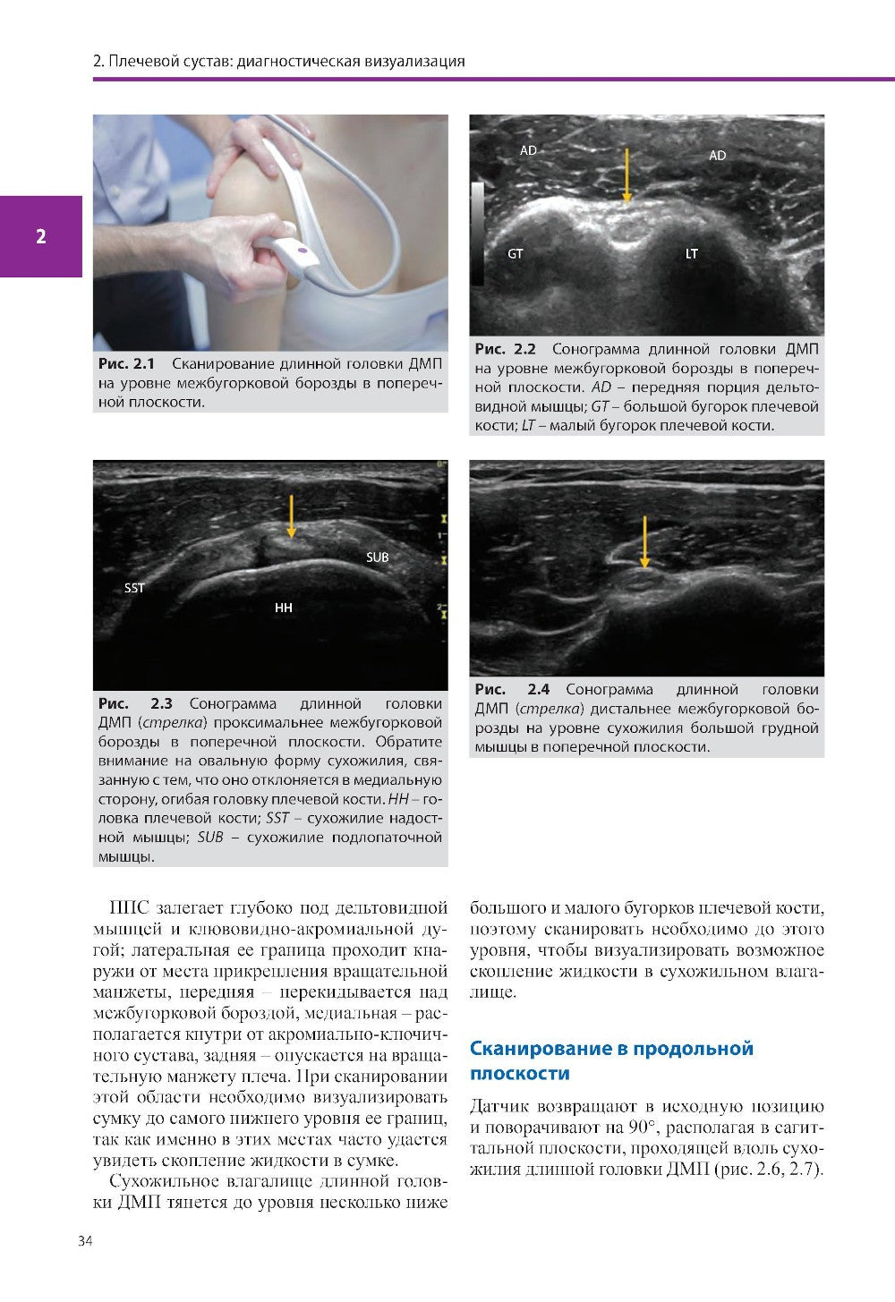Ультразвуковая диагностика болезней костно-мышечной системы и инъекции под ул...