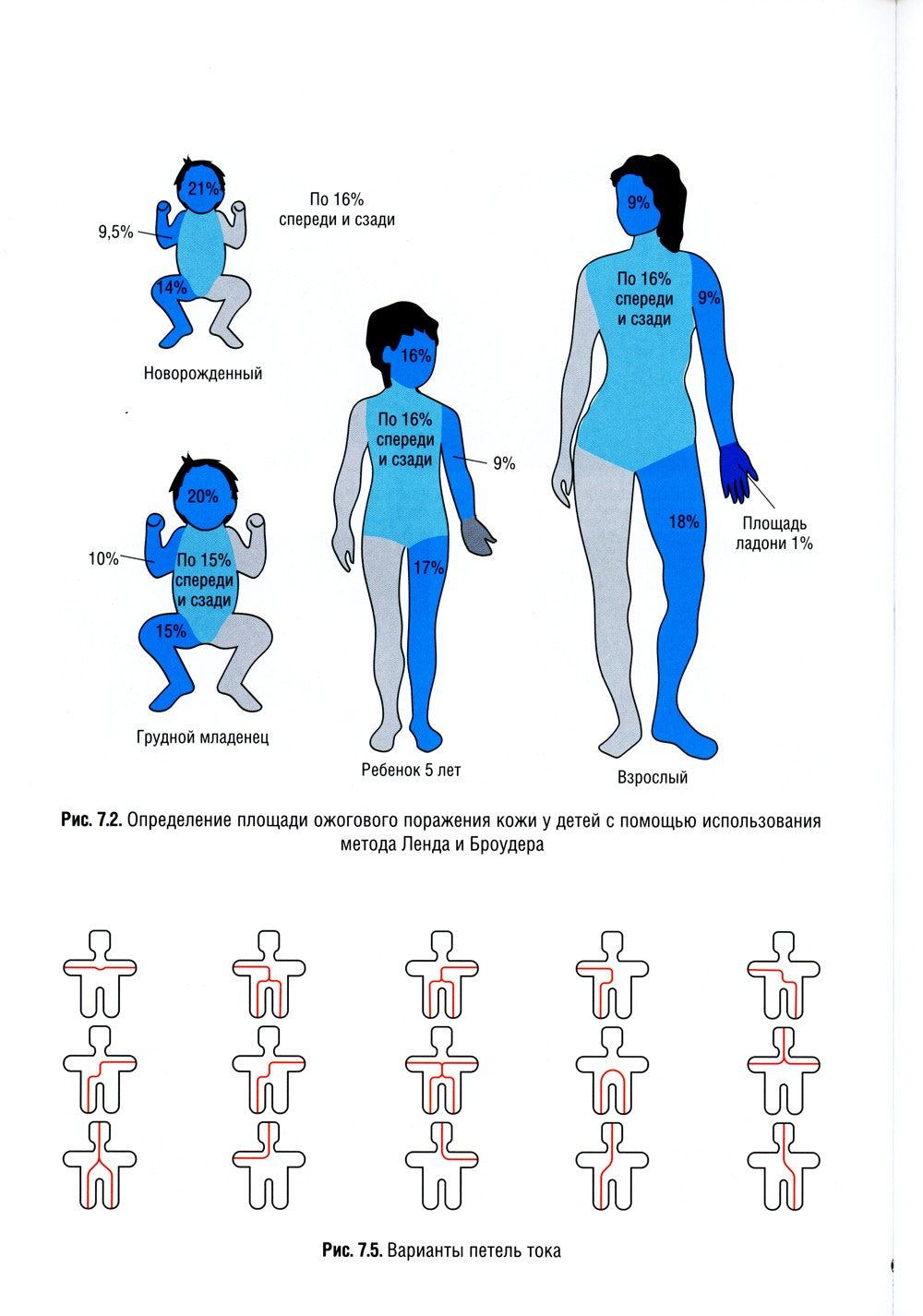Детская анестезиология и реаниматология, основы помощи при неотложных состоян...