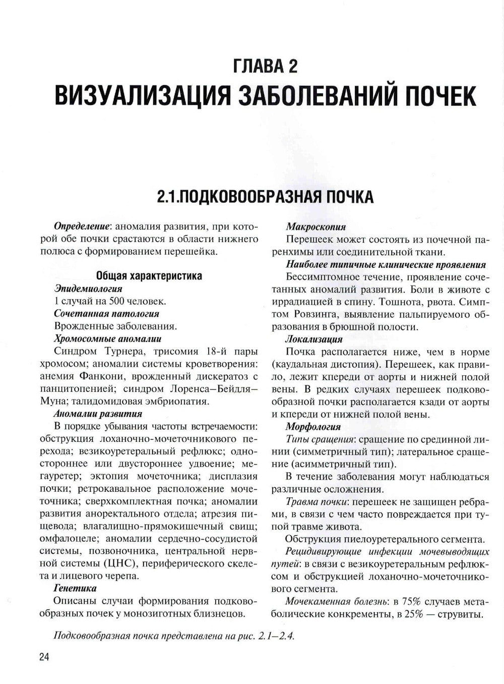 Визуализация заболеваний почек, мочеточников и мочевого пузыря: Учебное пособие