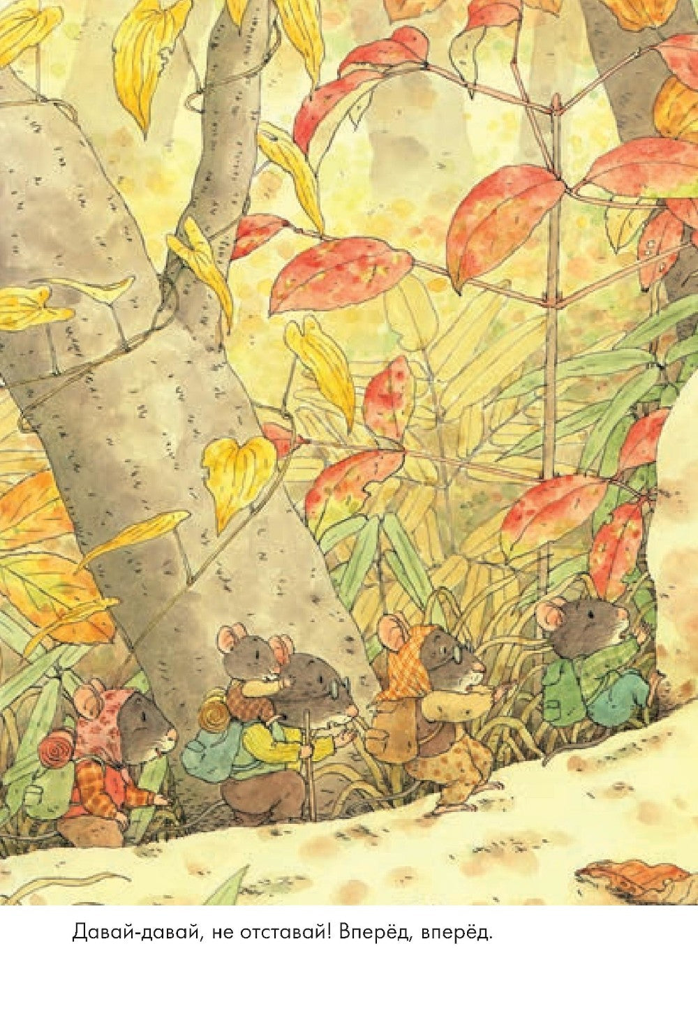 14 лесных мышей. Переезд