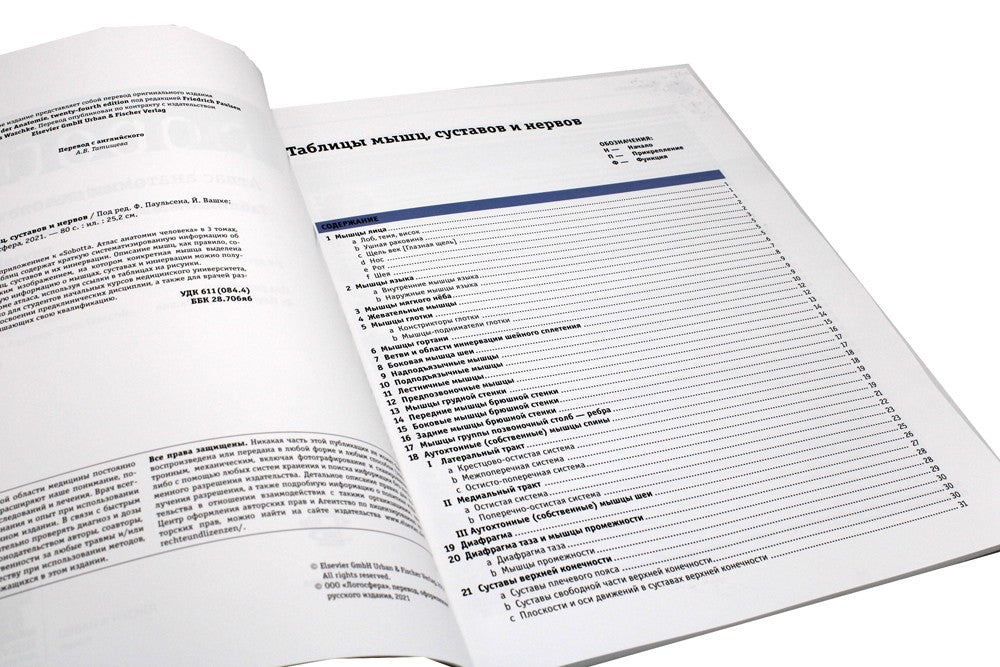 Sobotta. Таблицы мышц, суставов и нервов