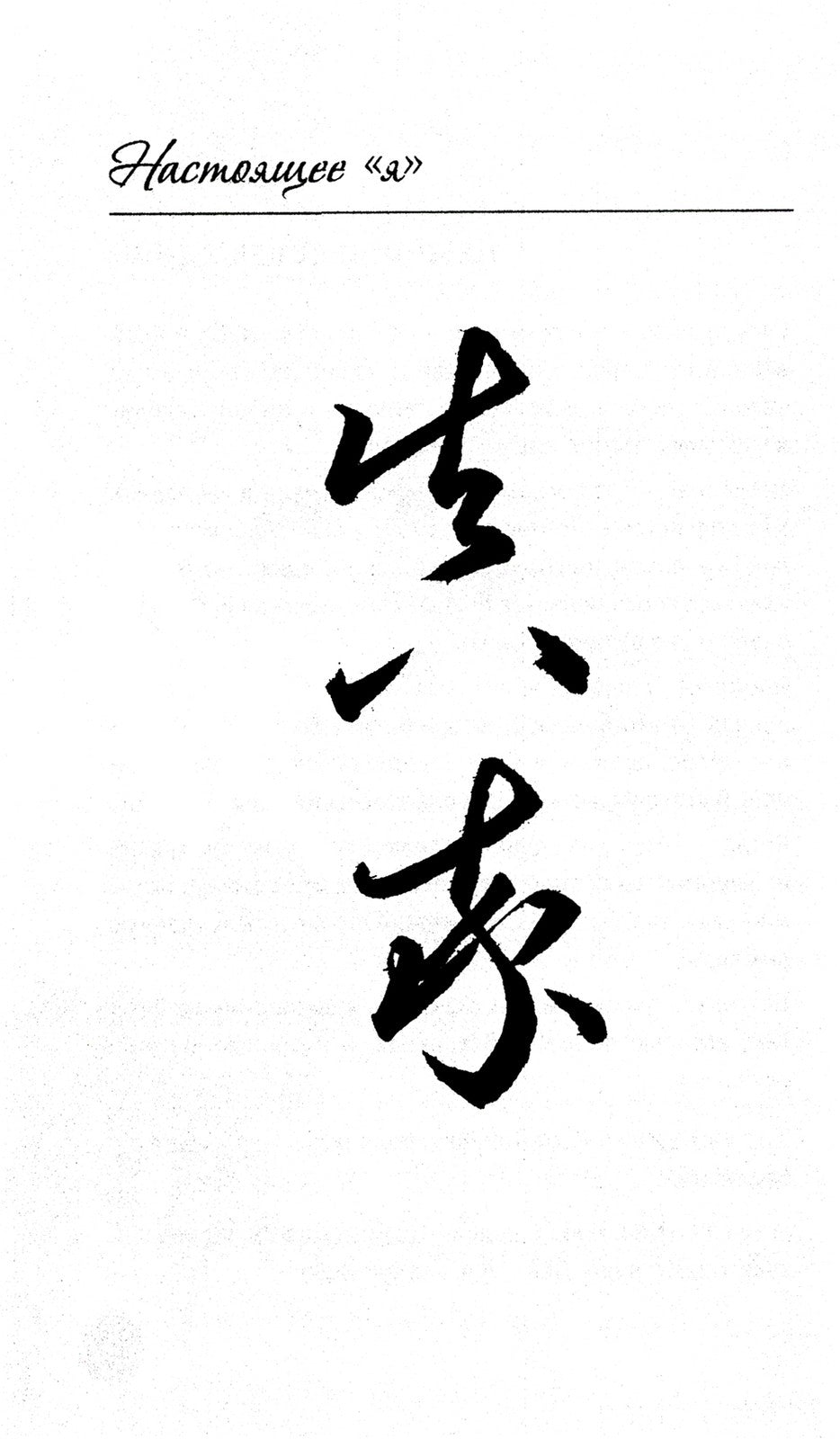 150 дней в настоящем. Медитации на каждый день