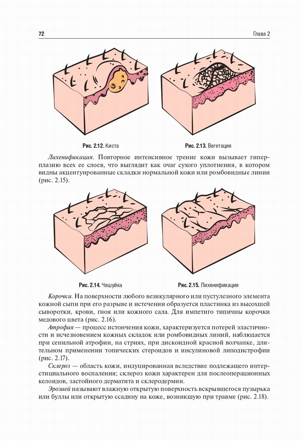 Пропедевтика внутренних болезней: Учебник