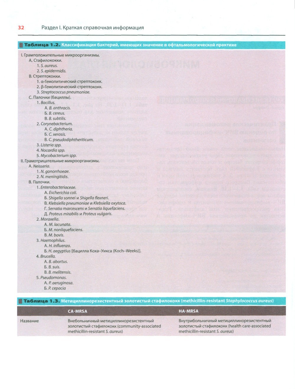 Офтальмотерапия. Клиническое руководство