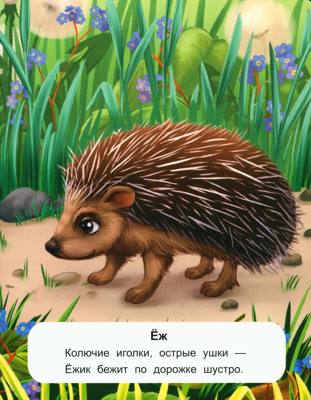 Лесные животные: стихи