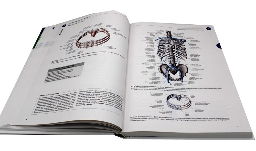 Sobotta. Атлас анатомии человека. В 3 т. Т. 1: Общая анатомия и костно-мышечн...