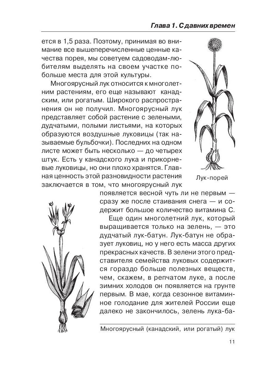 Лечением луком