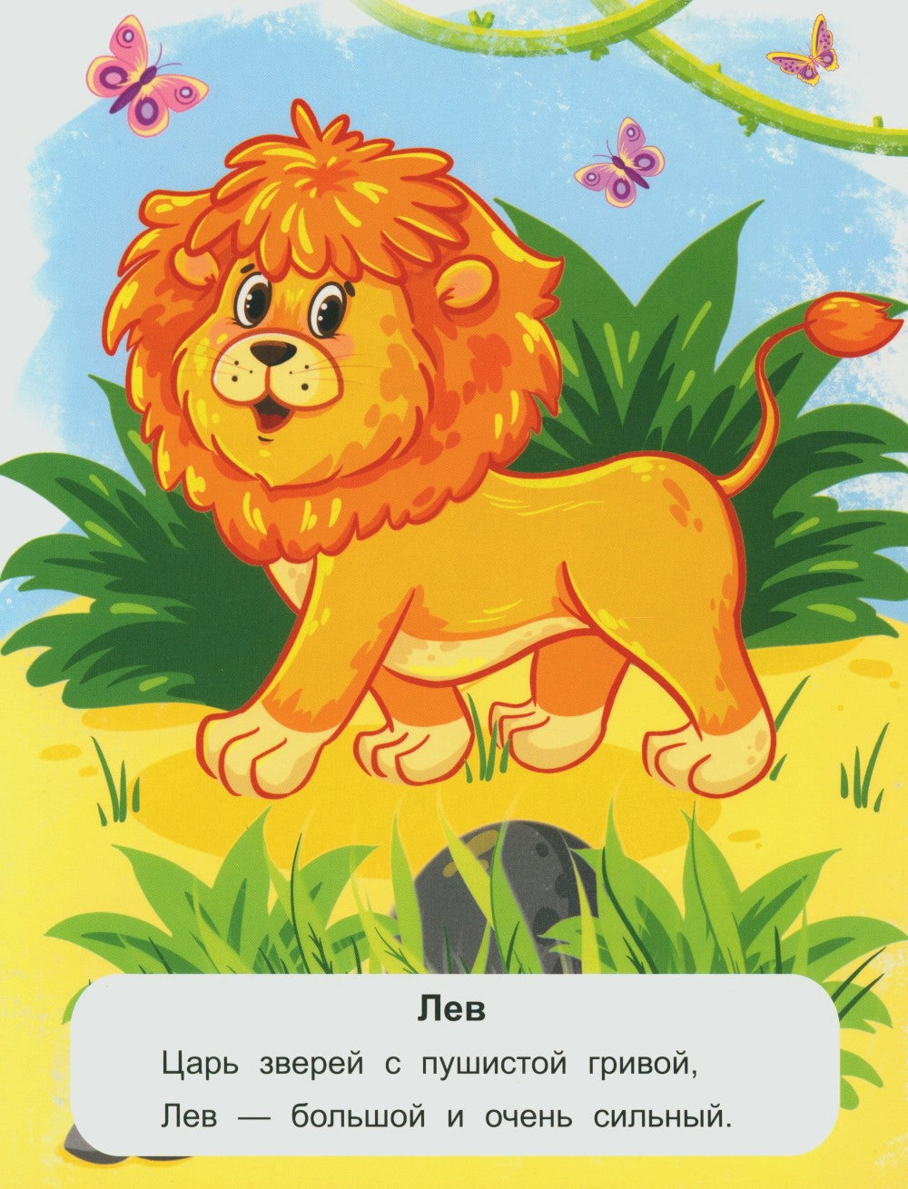 Животные жарких стран: стихи