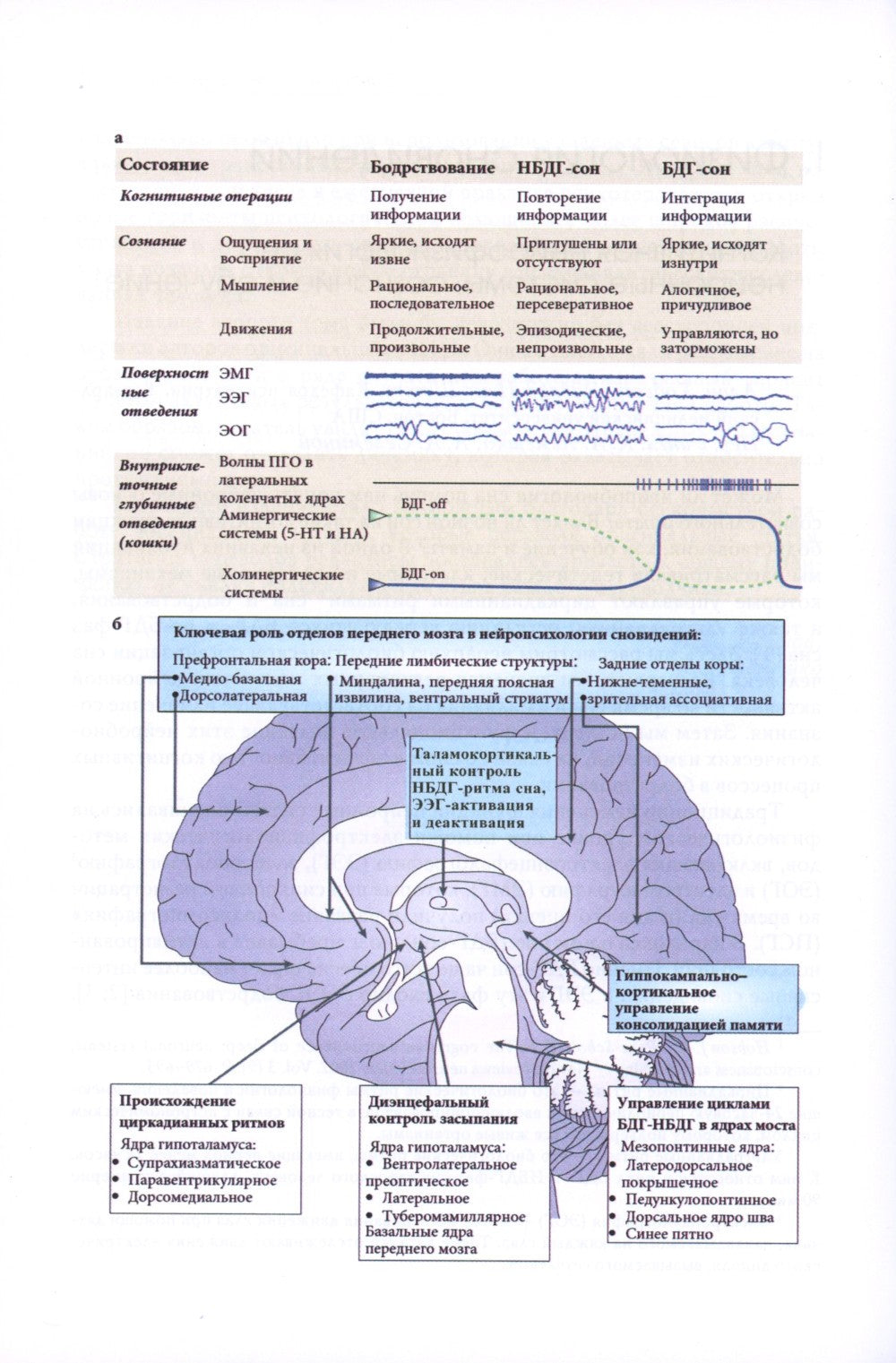 Исследование сновидений-2. Альманах Общества интегративного психоанализа