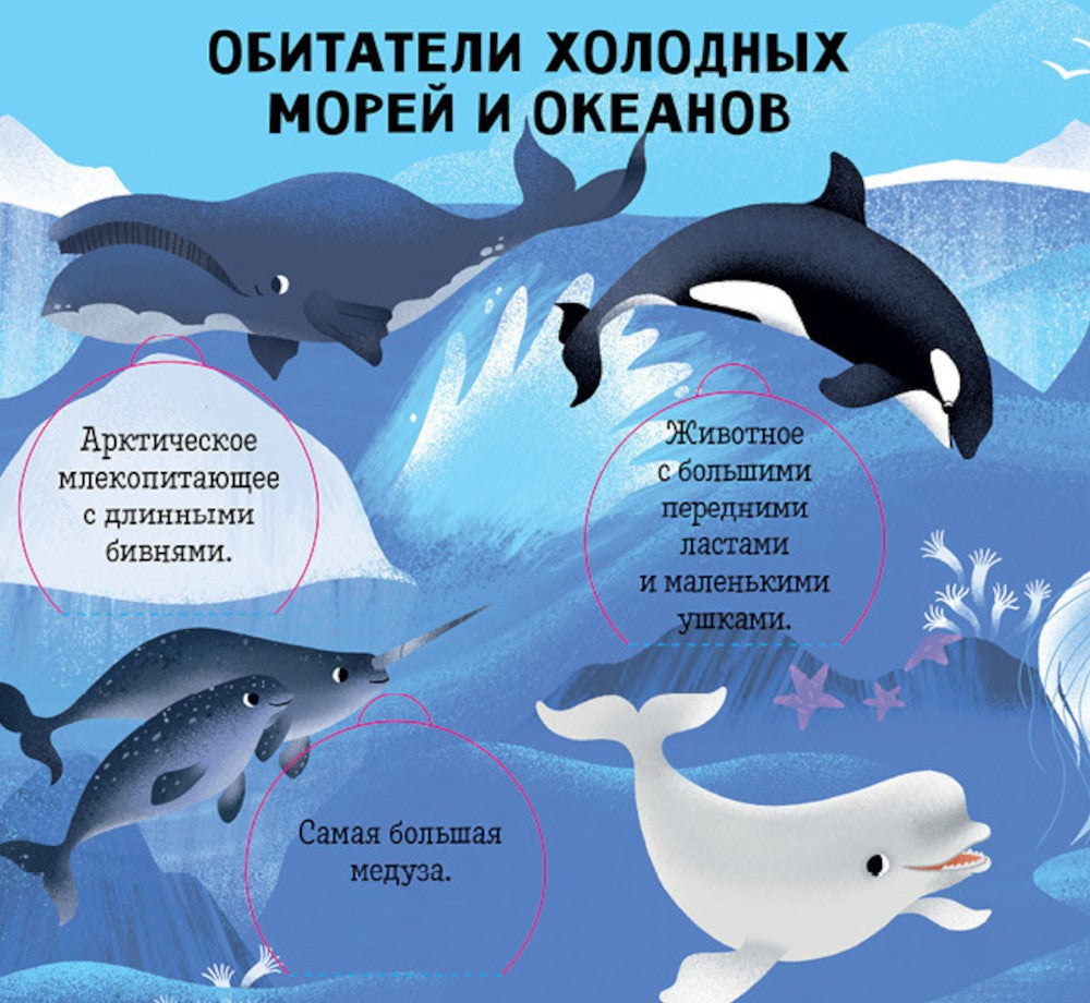 Океаны и моря. Энциклопедия с окошками