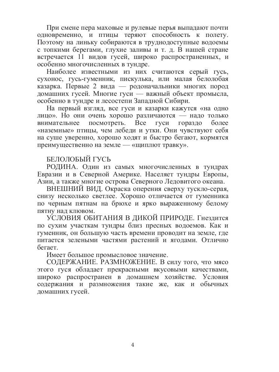 Такие знакомые птицы: гуси, лебеди, утки, куры, стрижи, совы, орлы, соколы