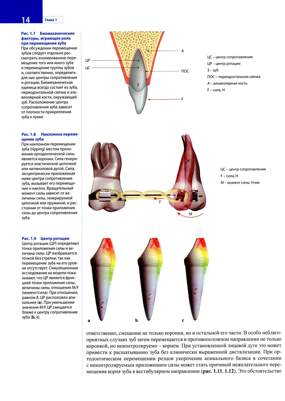 Ортодонтическое лечение. Атлас. Практическое руководство