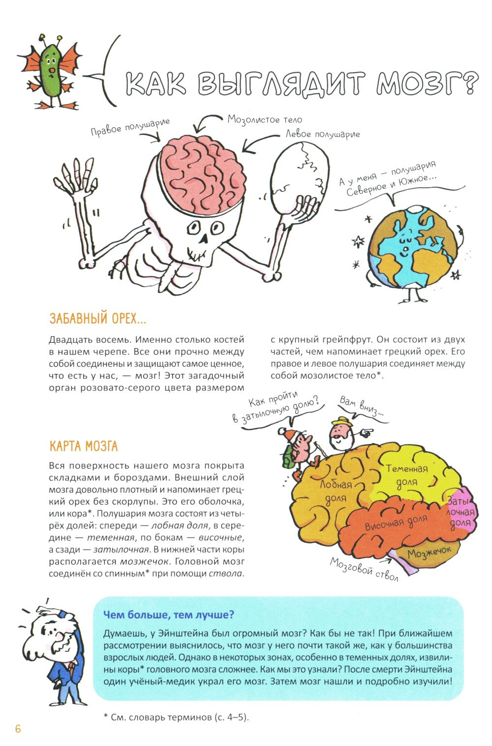Супермозг. Детские вопросы про интеллект и память