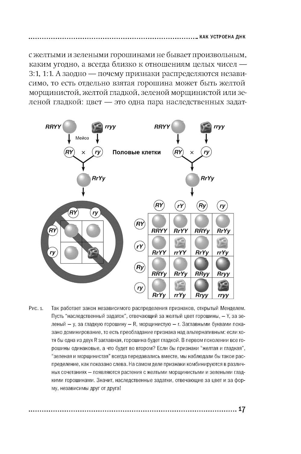 ДНК и ее человек. Краткая история ДНК-идентификации