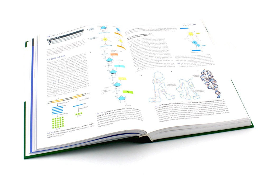 Основы молекулярной биологии клетки. 3-е изд., полн., перераб. и расш