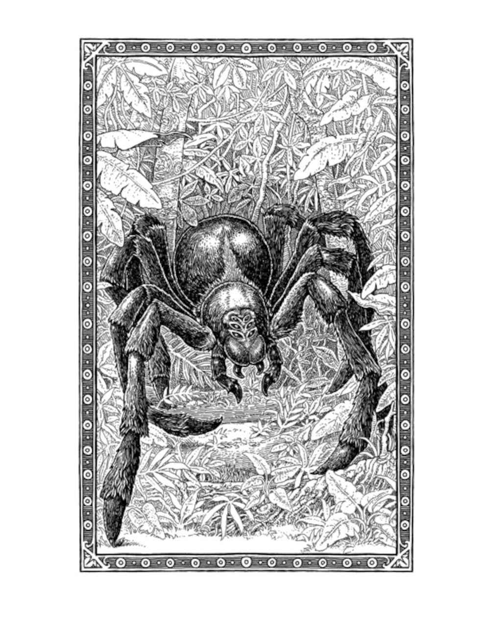 Квидиш сквозь века; Сказки барда Бидля; Фантастические твари… (комплект из 3-...