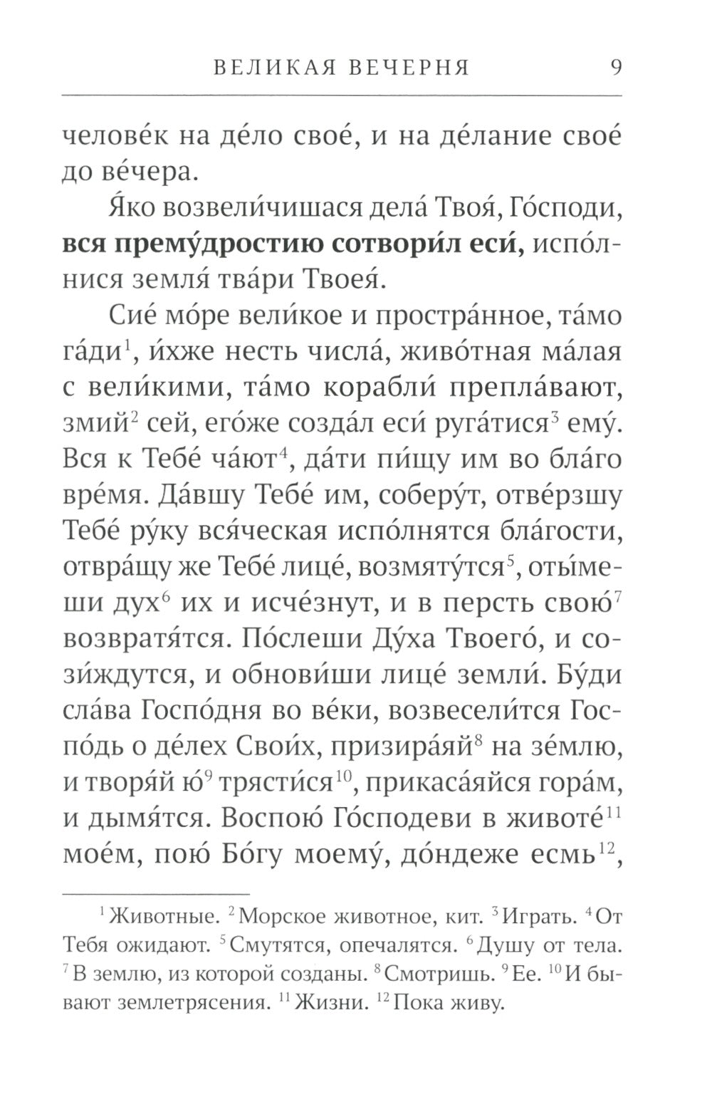 Всенощное бдение. Литургия: Разъяснение церковного богослужения