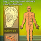 Атлас акупунктурных точек и меридианов. Вып. 8. 2-е изд