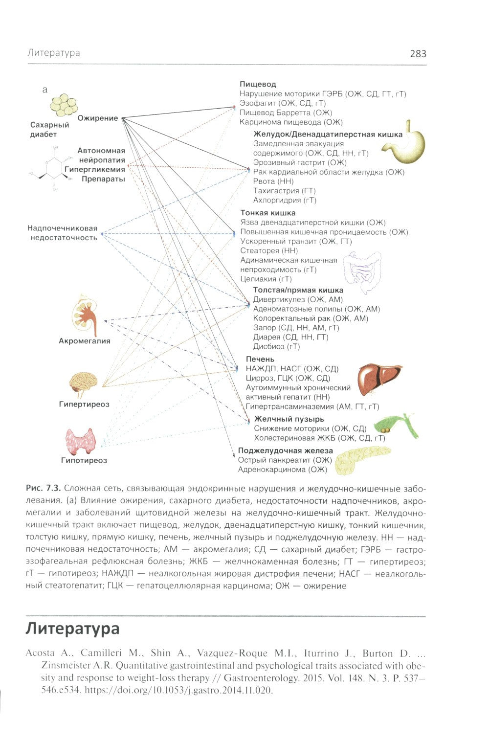 Эндокринология и системные заболевания