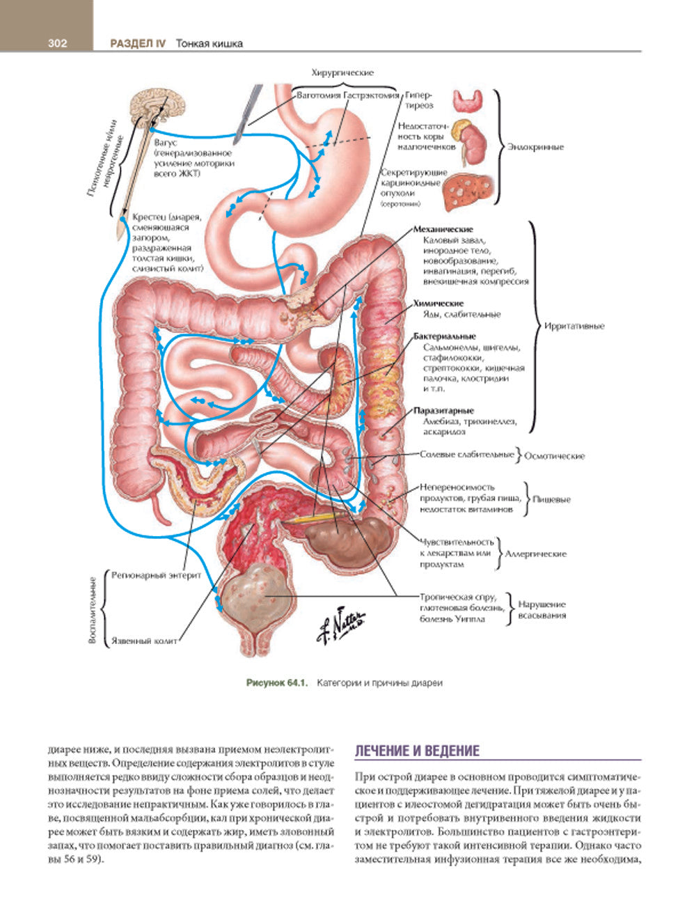 Гастроэнтерология с иллюстрациями Неттера. В 2 ч. (комплект из 2 кн.)