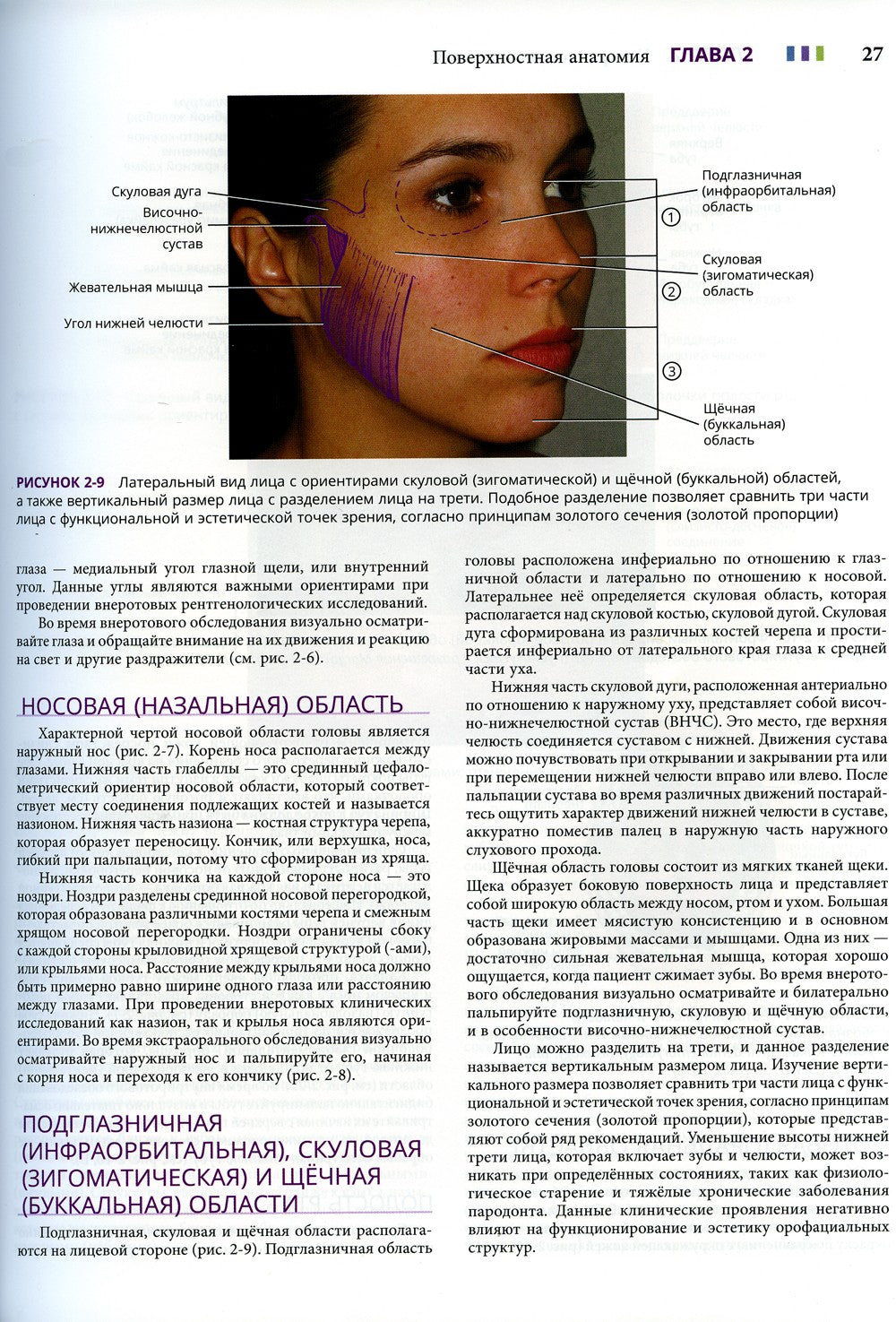 Иллюстрированная анатомия головы и шеи. 5-е изд