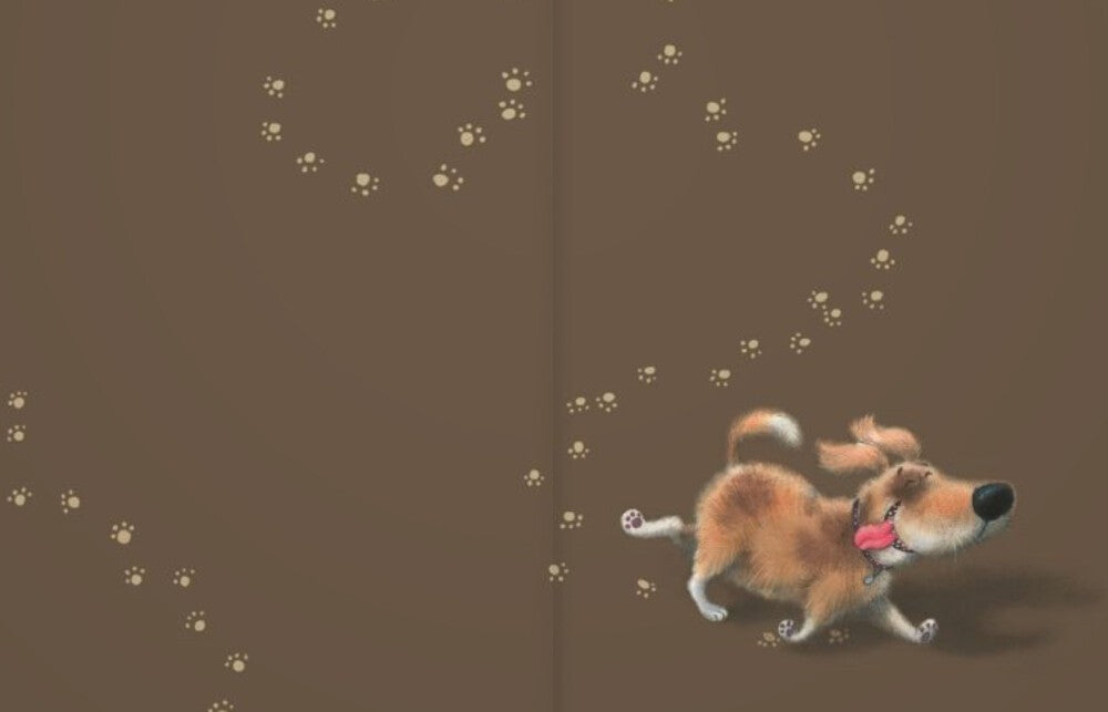 Жизнь собачья: стихи