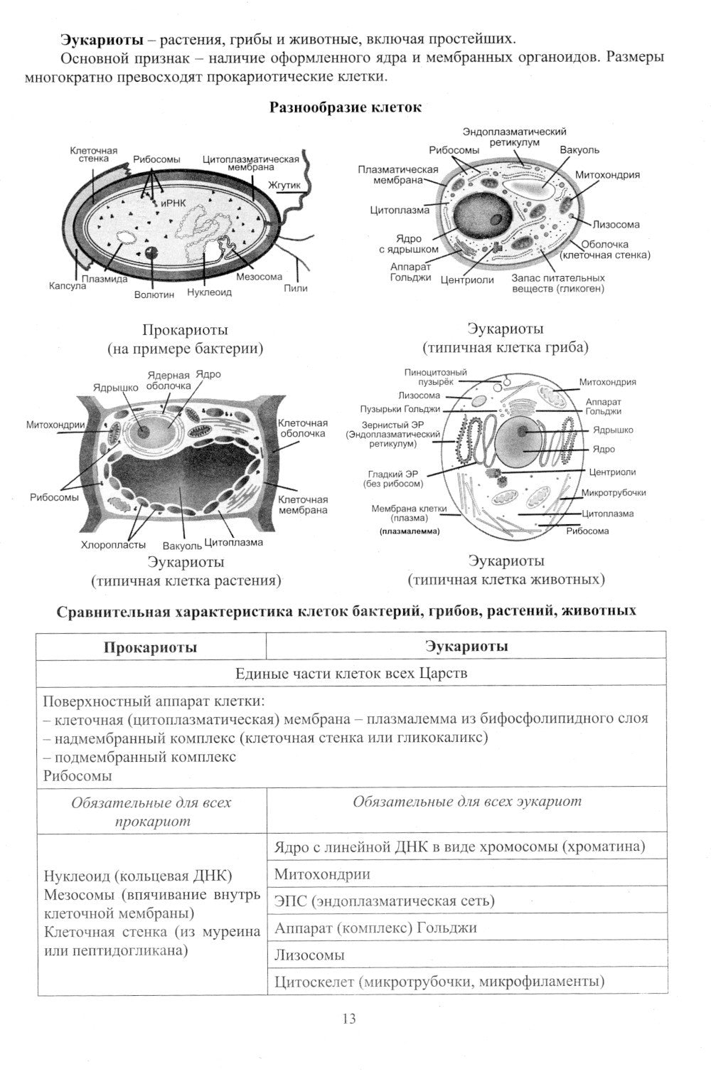 Биология. ЕГЭ 2024. Готовимся к итоговой аттестации: Учебное пособие