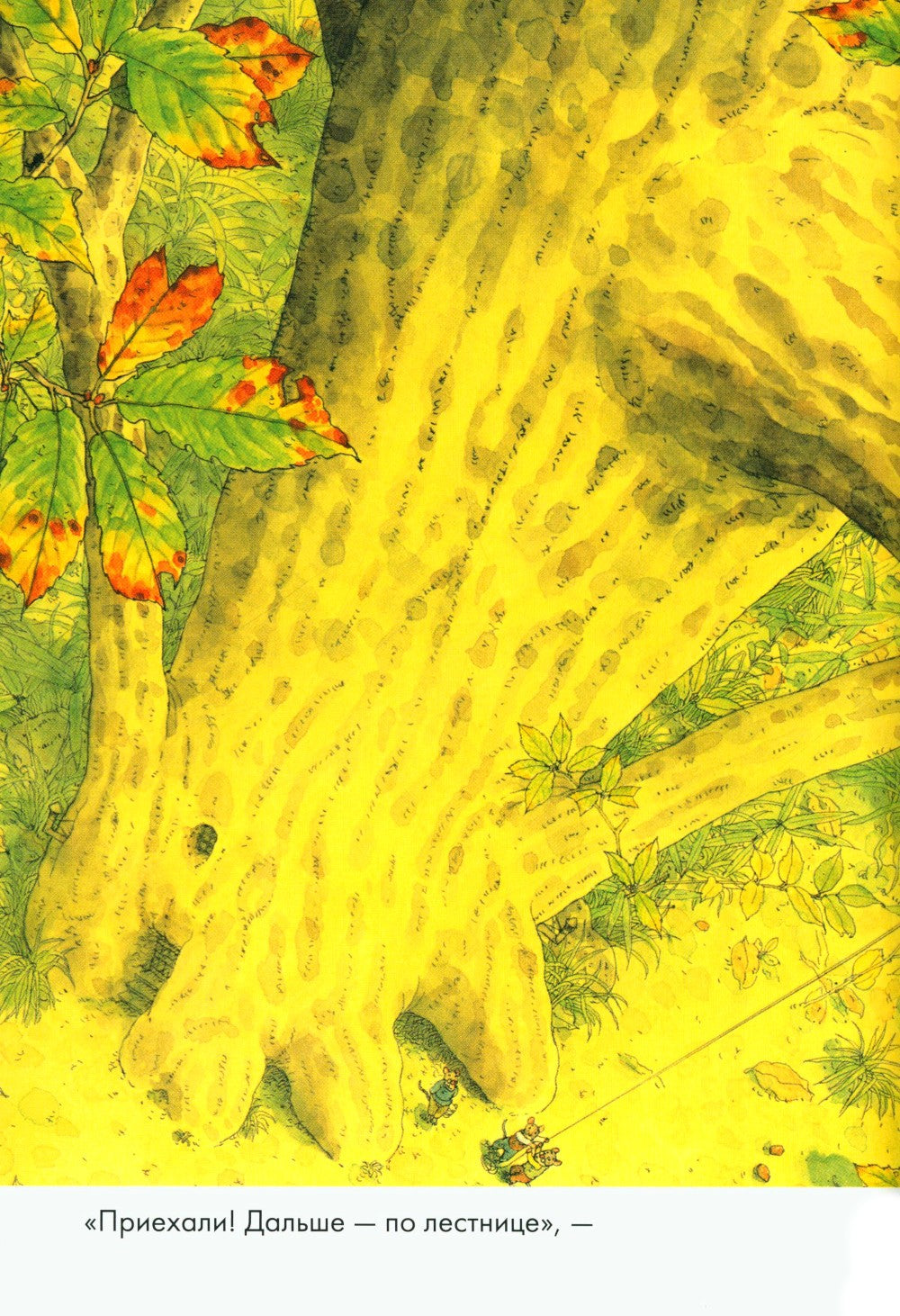 14 лесных мышей. Комплект суточный (комплект из 4-х книг)