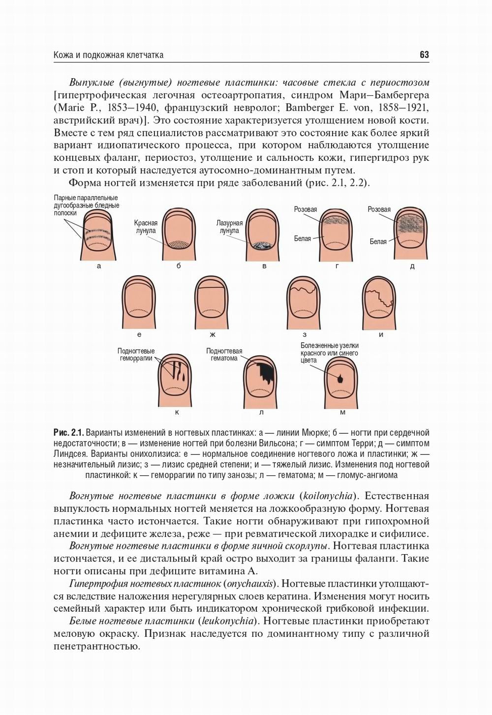 Пропедевтика внутренних болезней: Учебник