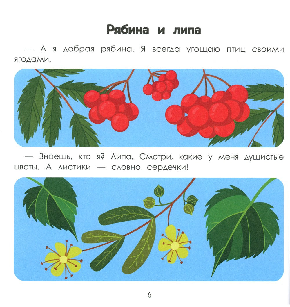 Лес. Энциклопедия для малышей в картинках