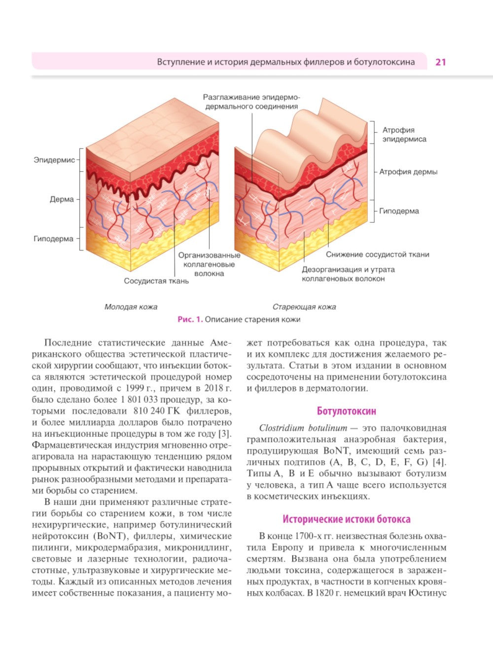 Практическое применение косметических инъекционных препаратов. Дермальные фил...