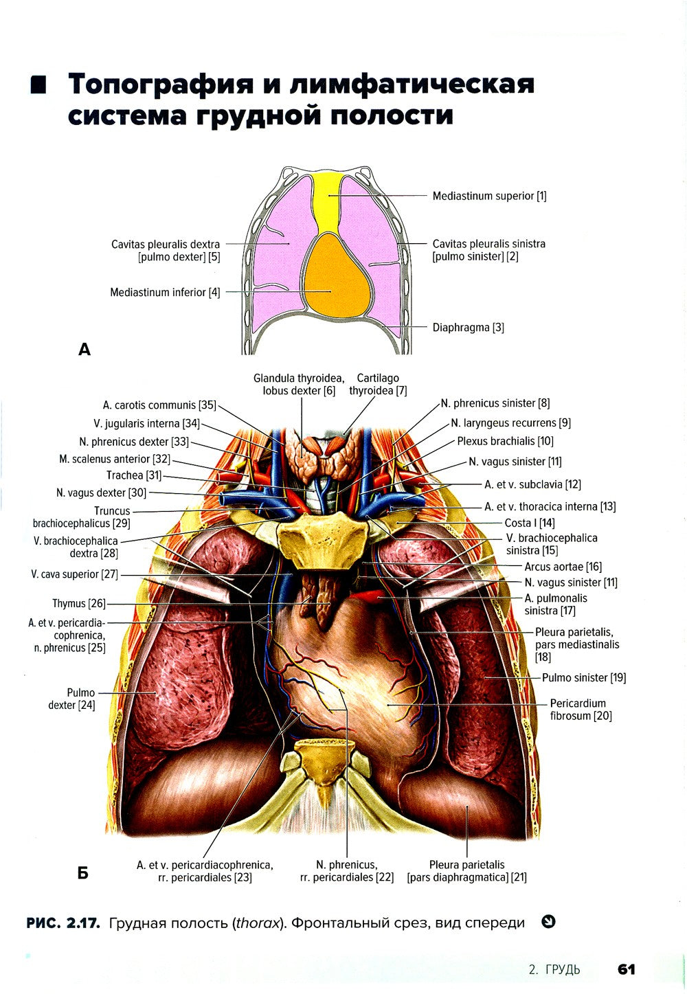 Атлас анатомии для стоматологов. В 2 т.Т. 1: Общая анатомия. Голова