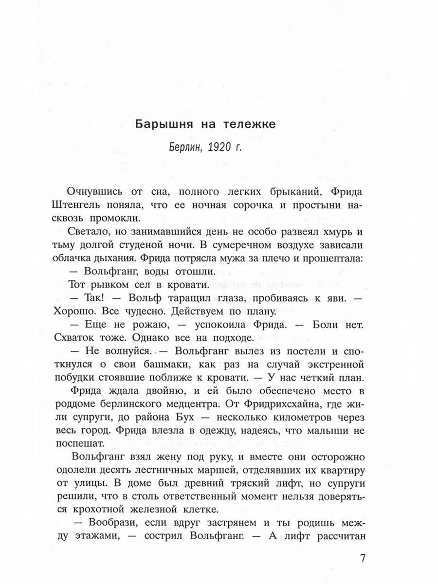 Два брата: роман